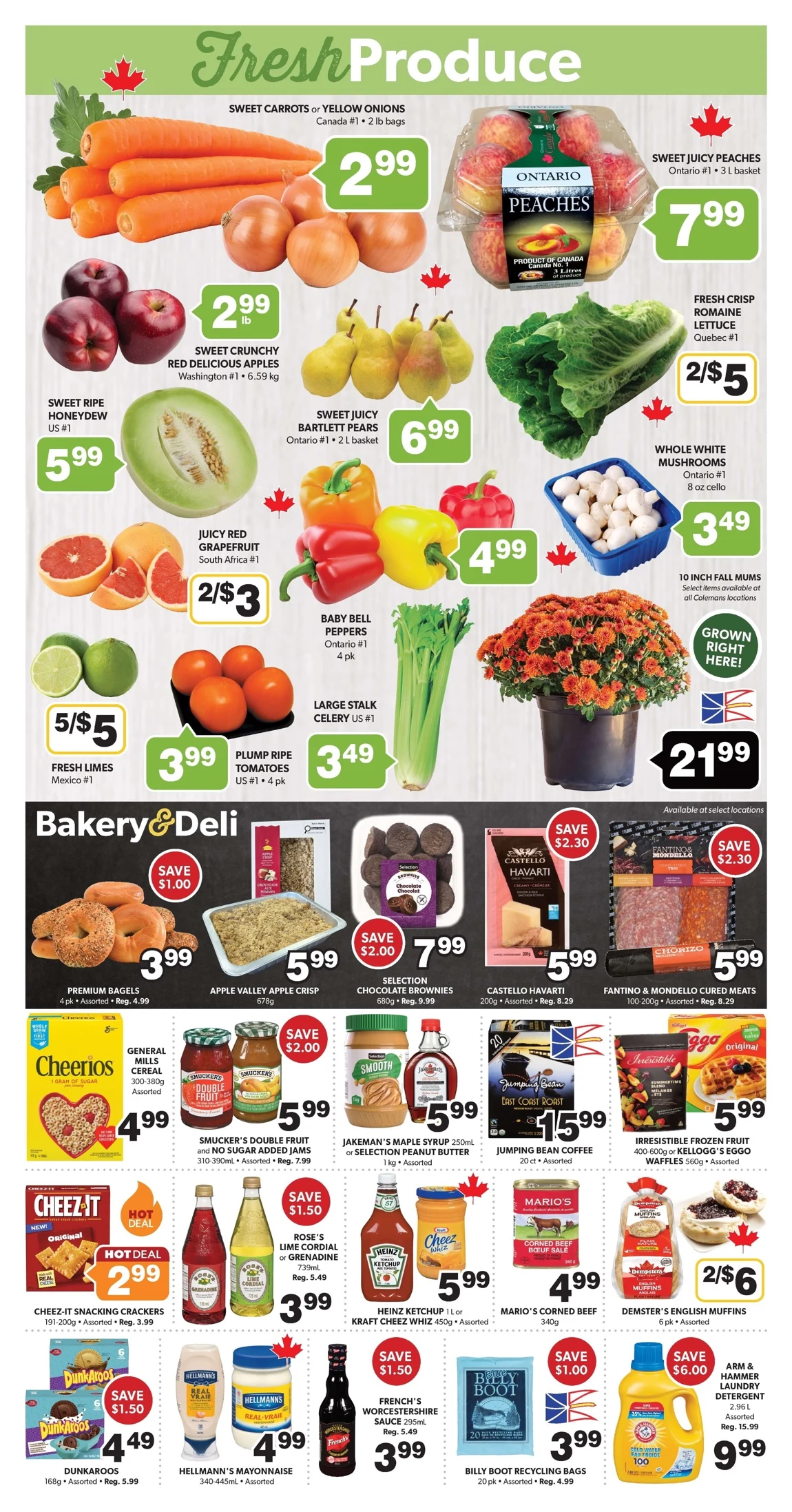 Colemans Flyer September 18 to September 24, 2025 247 – colemans flyer 11 17 3
