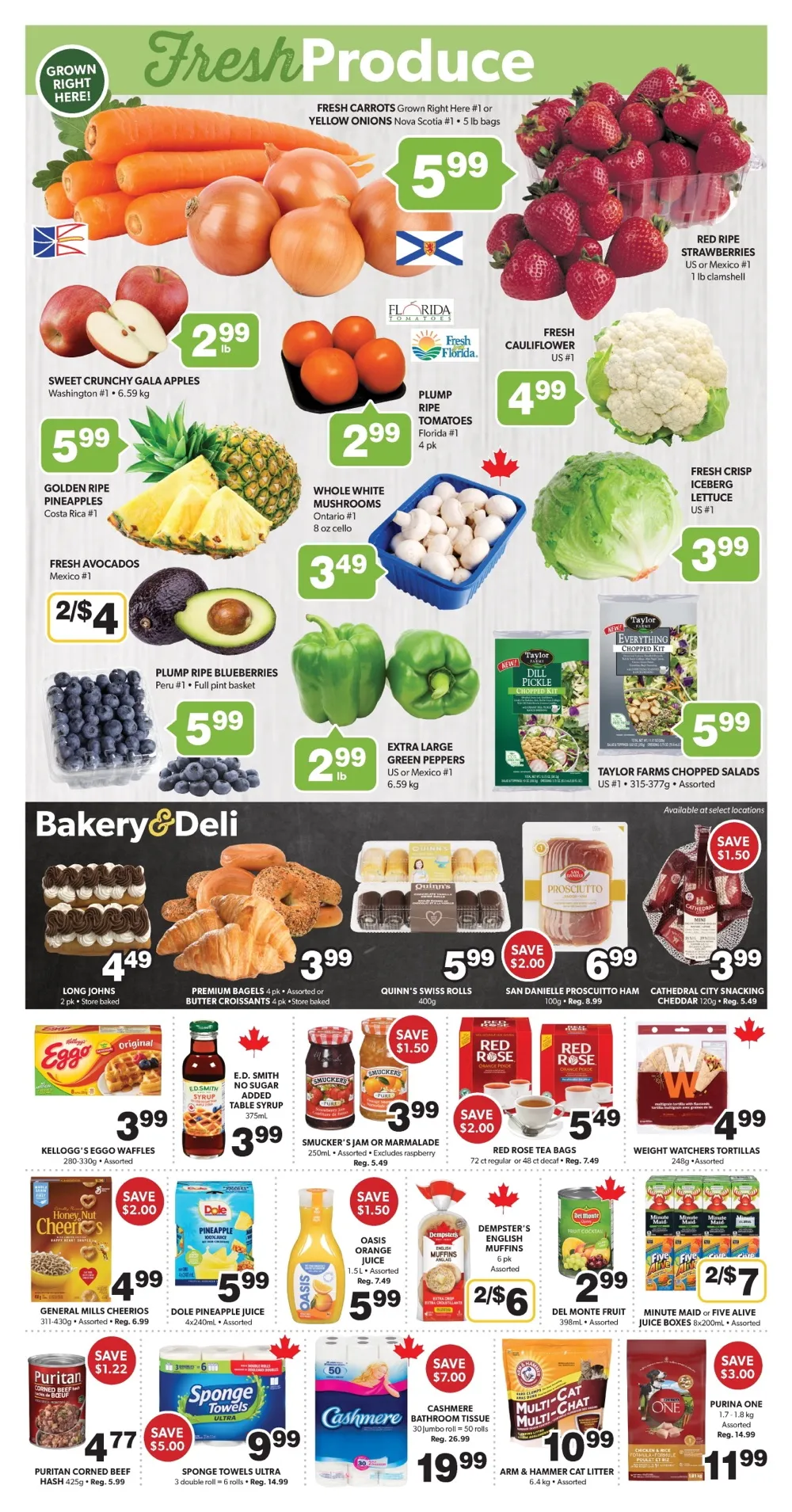 colemans flyer 8 14 3