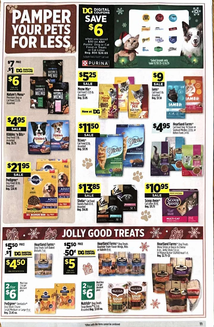 Dollar General Weekly Ad 11/23/25 & 11/30/25 4 – dollar general 30 6 00011