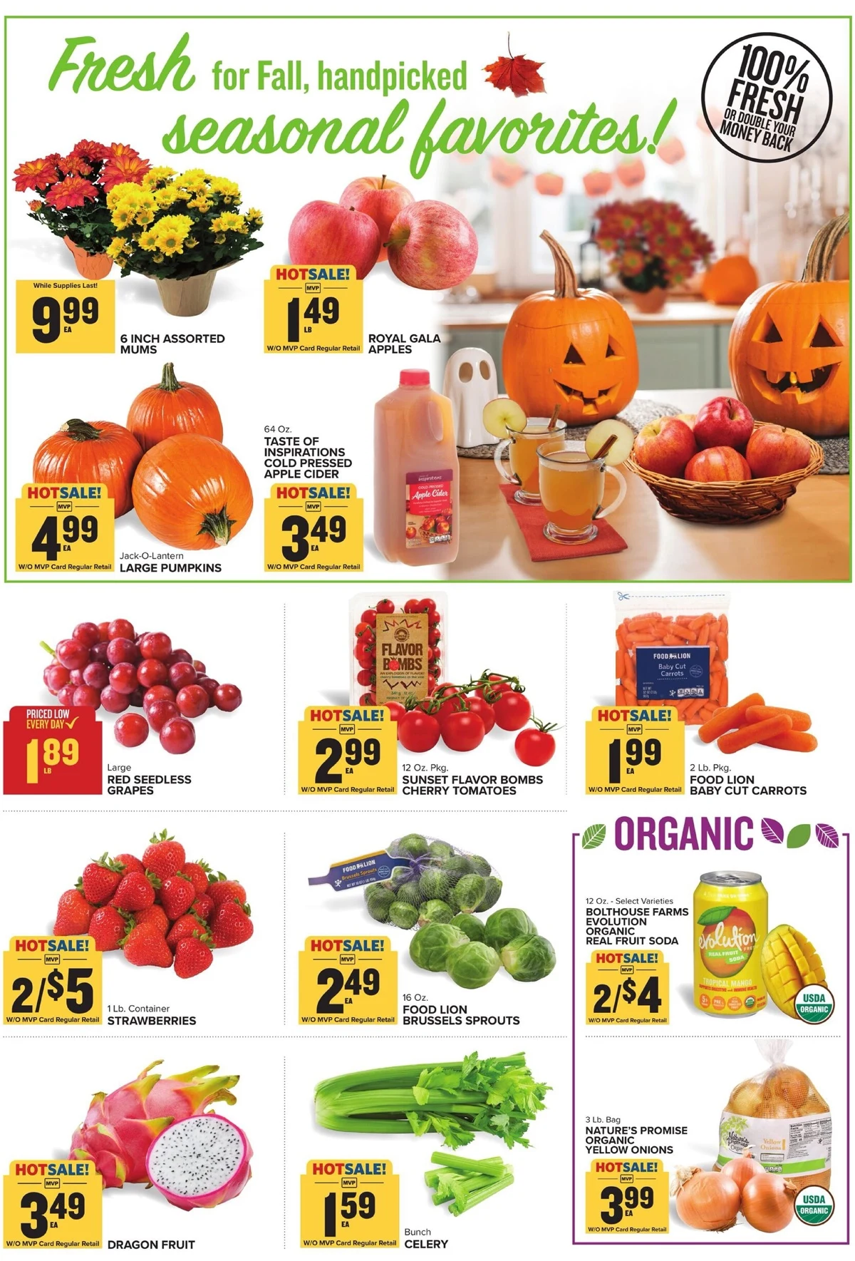 Food Lion Weekly Ad October 15 to October 21, 2025 1 – food lion ad 15 21 15