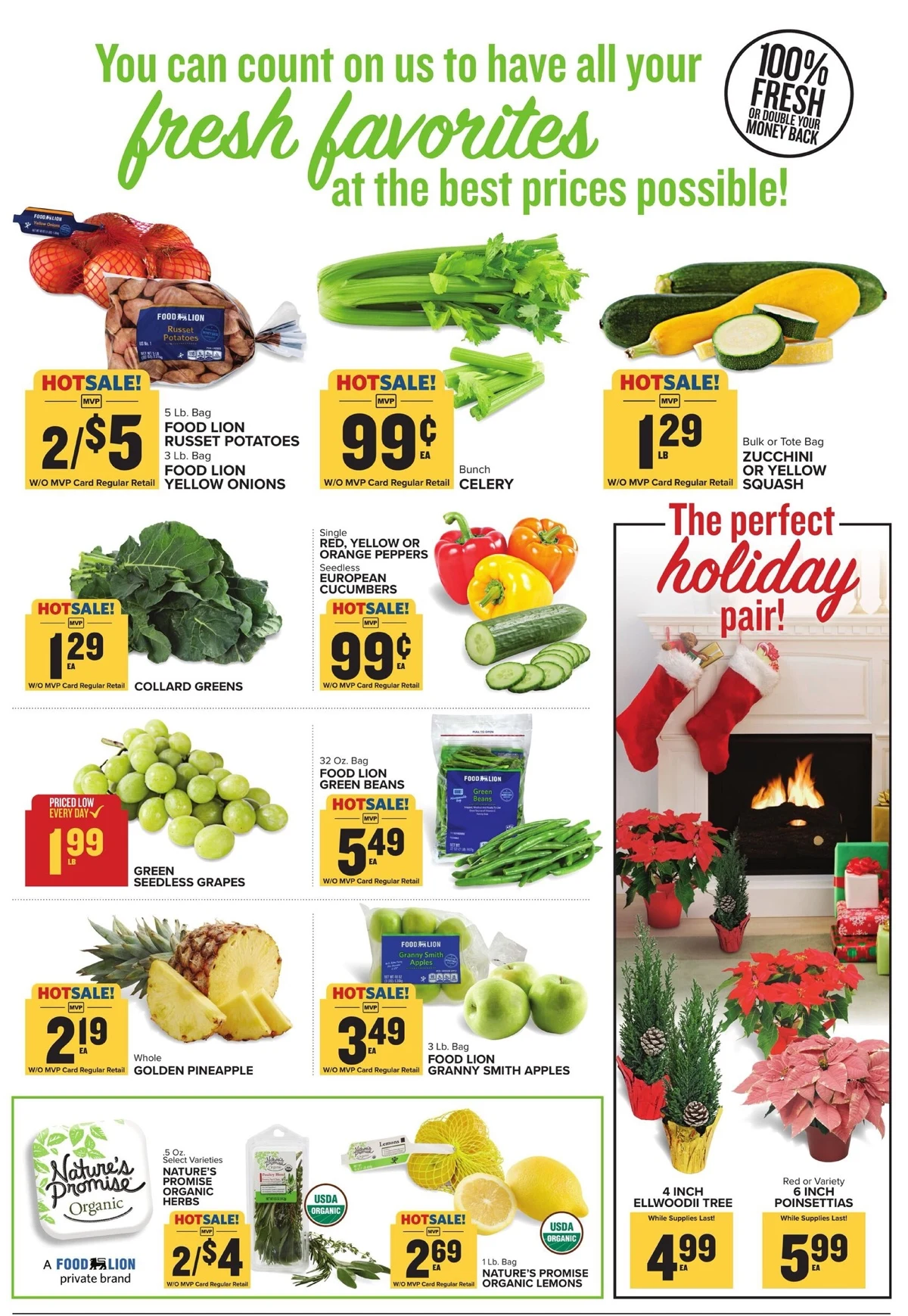 foodlion ad 19 27 14