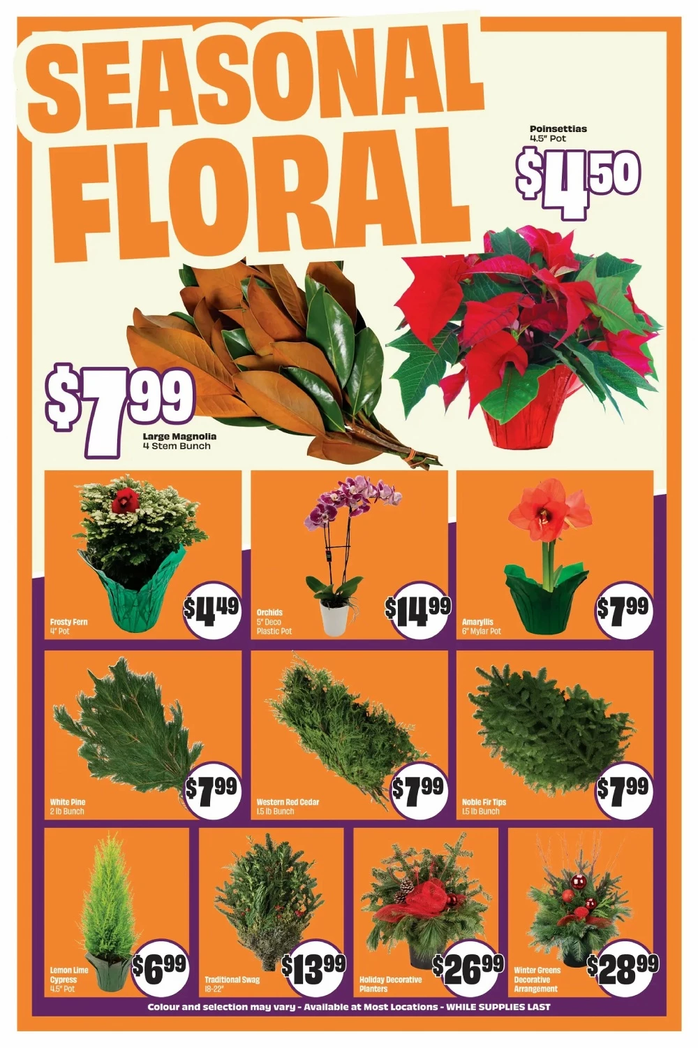 freshco flyer november 20 26 5 27023608