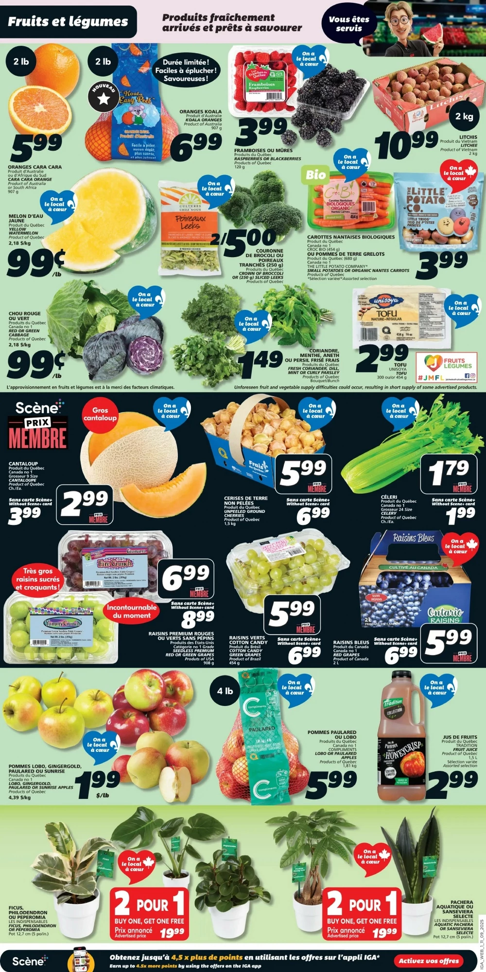Iga Flyer September 18 to September 24, 2025 708 – iga flyer september 11 17 3