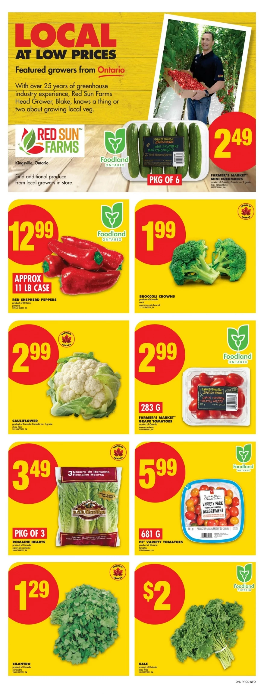 No Frills Flyer September 18 to September 24, 2025 331 – no frills flyer ont september 11 17 4