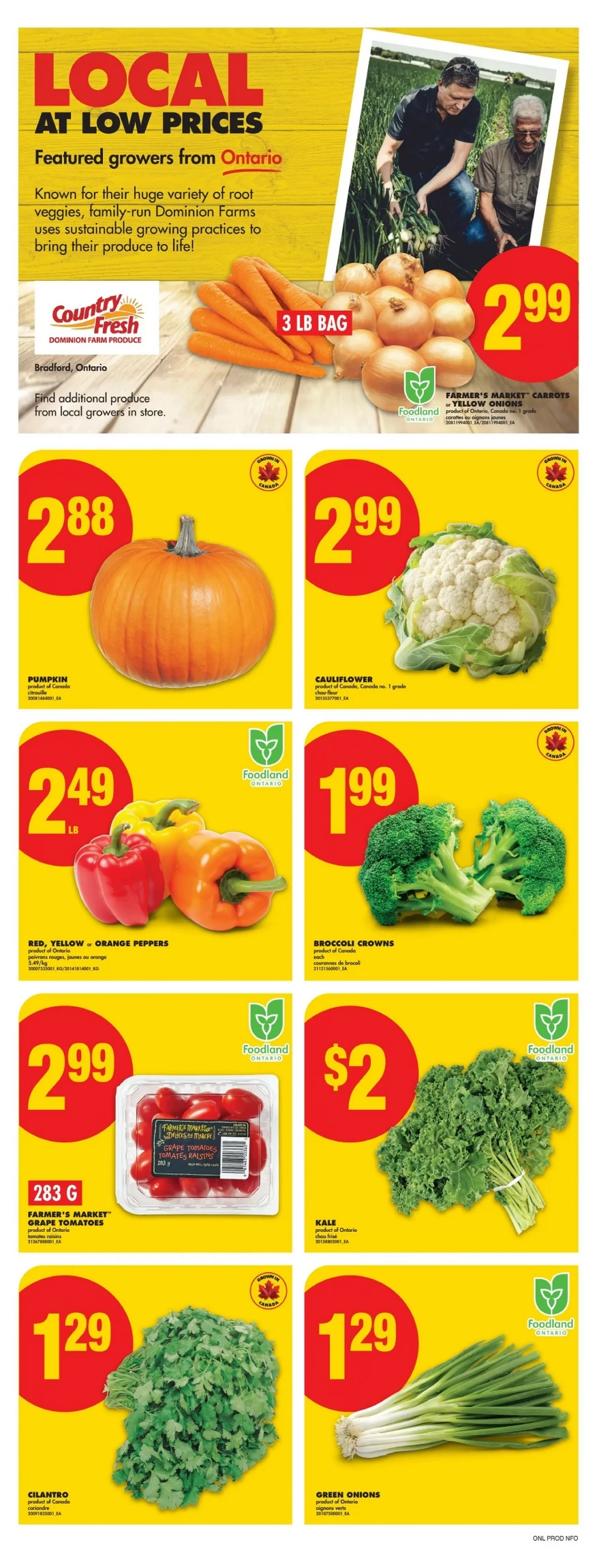 No Frills Flyer September 25 to October 1, 2025 74 – no frills flyer ont september 18 24 4