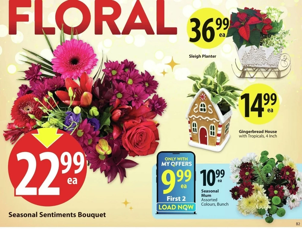 Save on Foods Flyer December 11 to 17, 2025 1 – save on foods flyer november 27 december 3 3 94147651