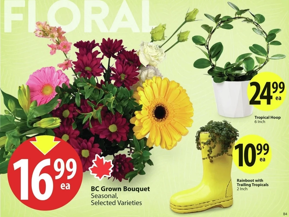 Save on Foods Flyer September 18 to September 24, 2025 425 – save on foods flyer september 11 17 6