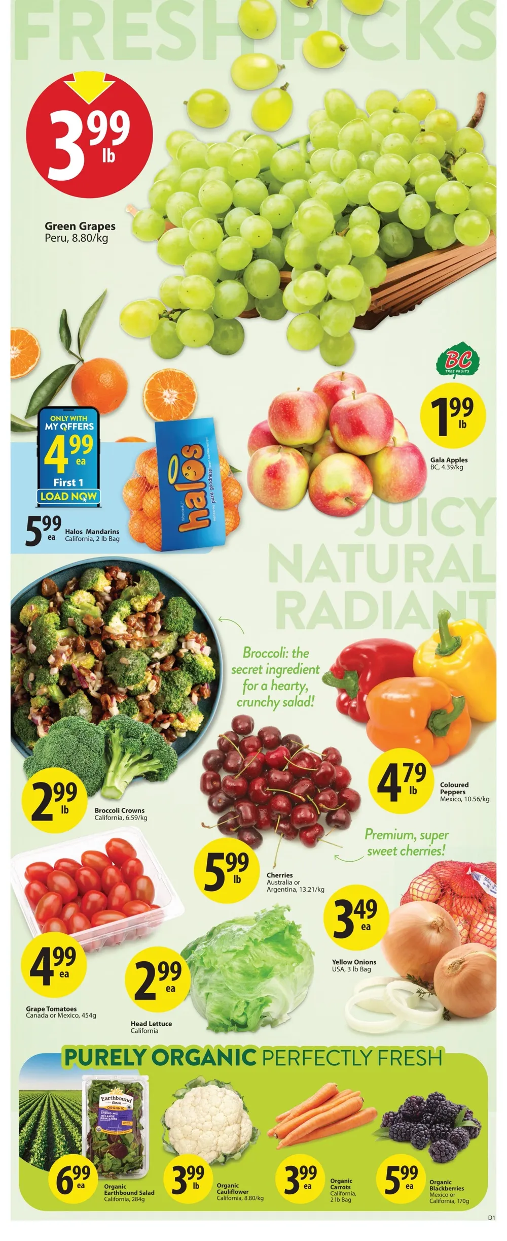 saveonfoods flyer 8 14 02