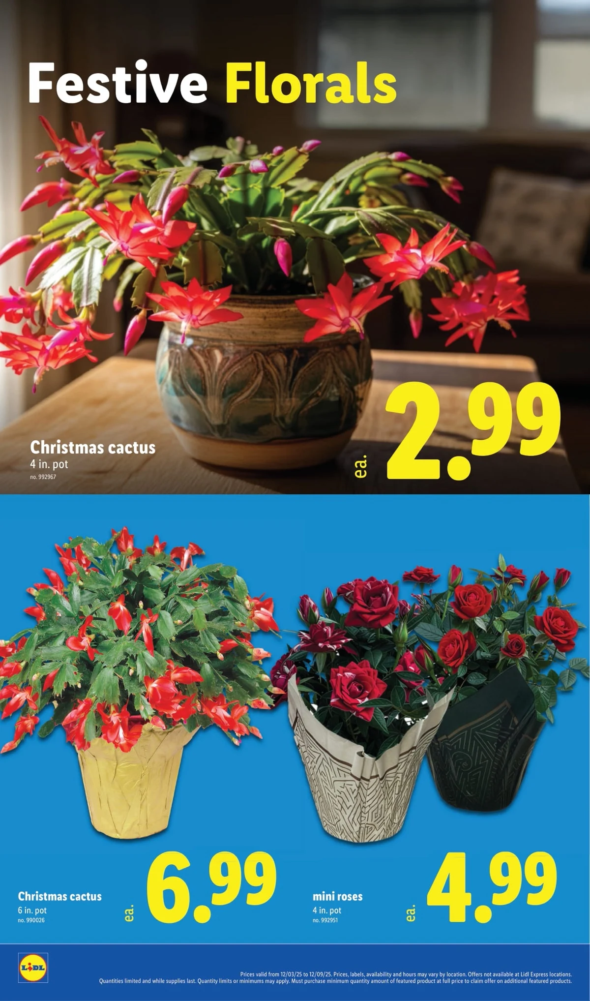 Lidl Weekly Ad Dec 3 to 9, 2025 3 – lidl ad 3 9 22