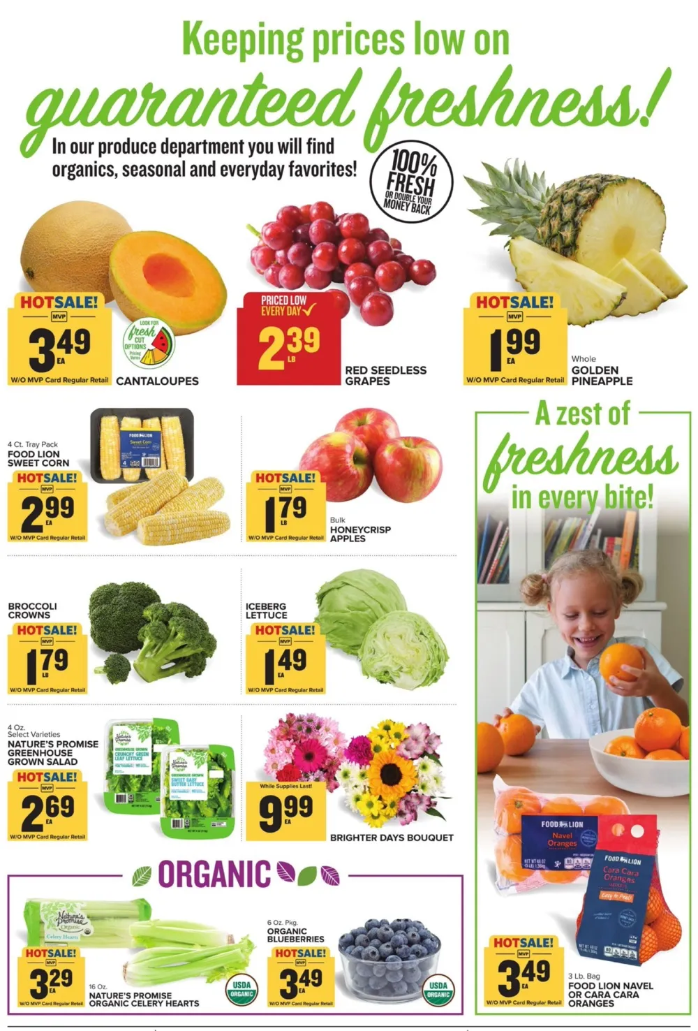 Food Lion Weekly Ad (1/7/26 | 1/14/26) preview 1 – food lion ad 7 13 08
