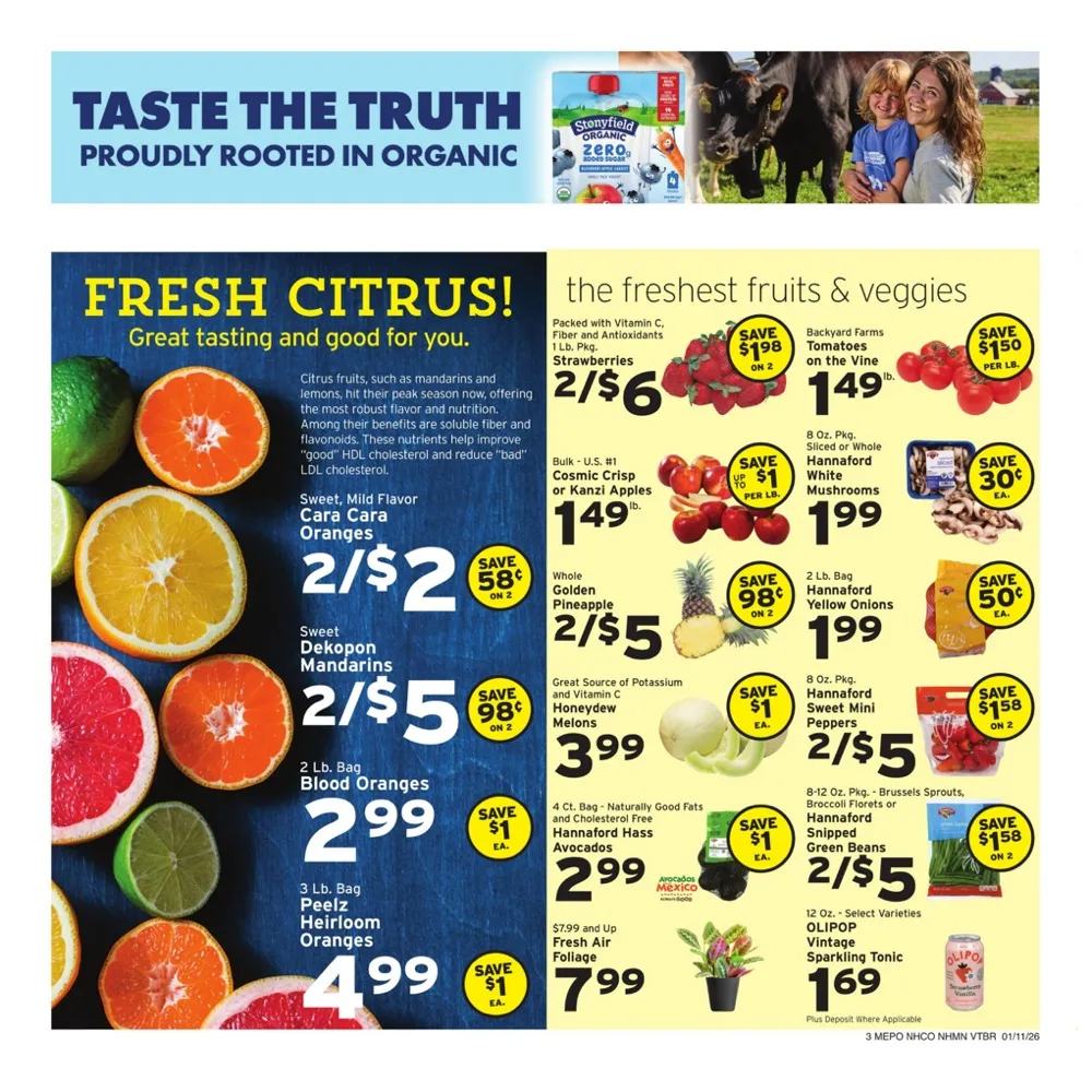 hannaford ad 11 17 03