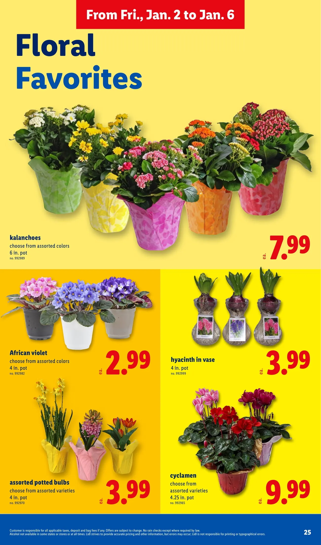 lidl ad 2 6 25